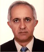 دکتر محمد حسین عماد